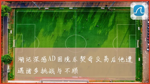 湖记深感AD困境东契奇交易后他遭遇诸多挑战与不顺
