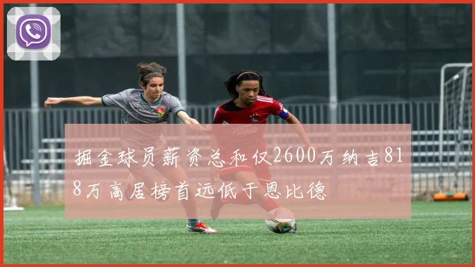 掘金球员薪资总和仅2600万纳吉818万高居榜首远低于恩比德
